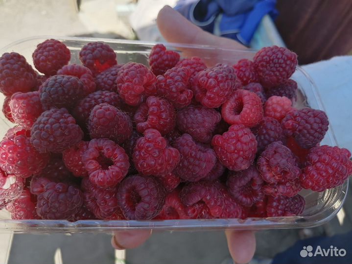 Малина ягоды