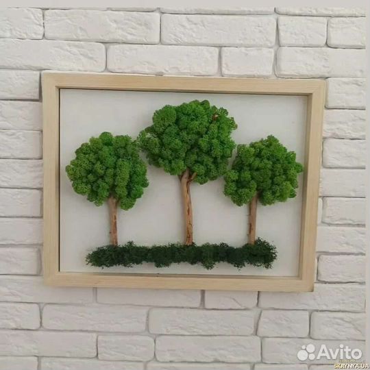 Панно из стабилизированного мха