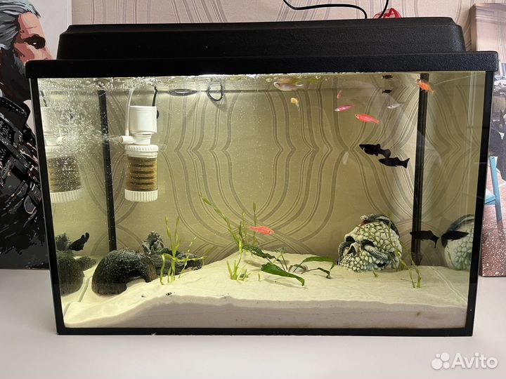 Аквариум 60л