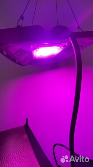 Фитолампа для растений