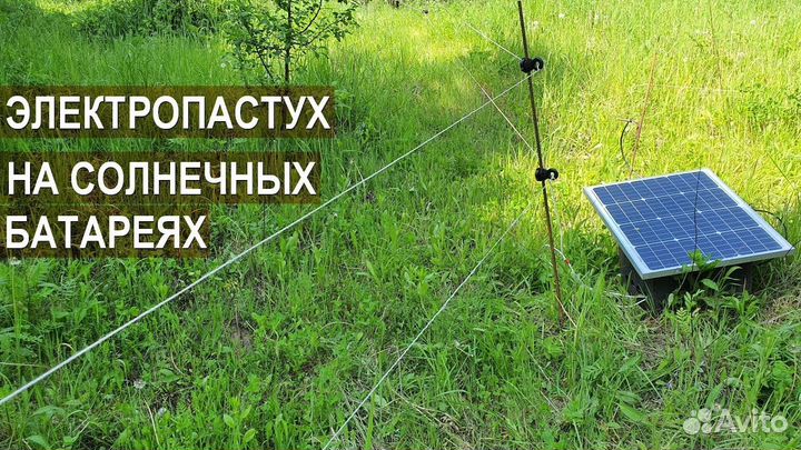 Электропастух на солнечной батарее