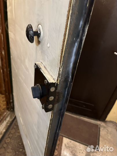 Дверь входная железная