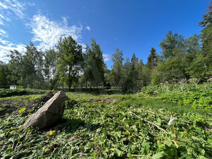 Участок 15,7 сот. (ИЖС)