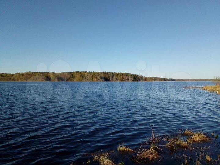 Участок 34 сот. (СНТ, ДНП)