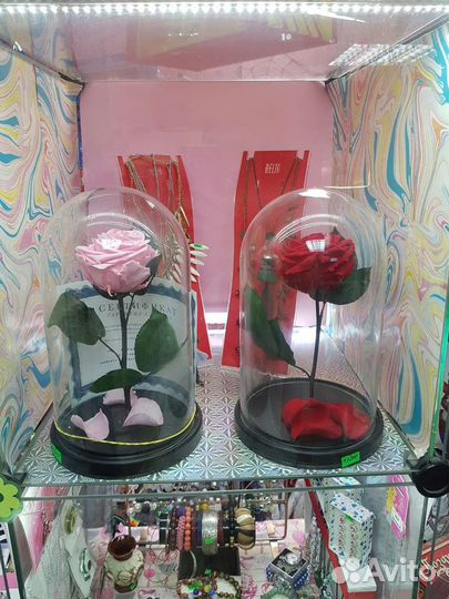 Раза в колбе из сказки