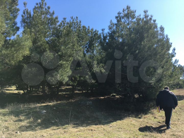 Участок 17,6 сот. (ИЖС)