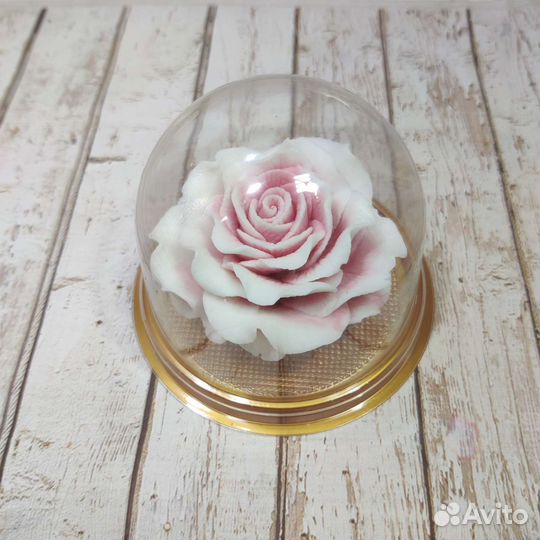 Роза в куполе