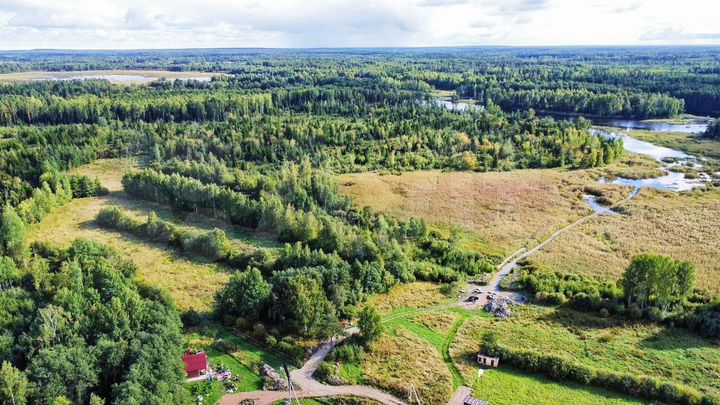 Участок 10 сот. (СНТ, ДНП)