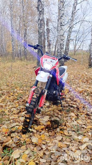 Продаётся прогаси смарт Макс 150