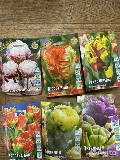 Тюльпаны,нарциссы и др луковичные