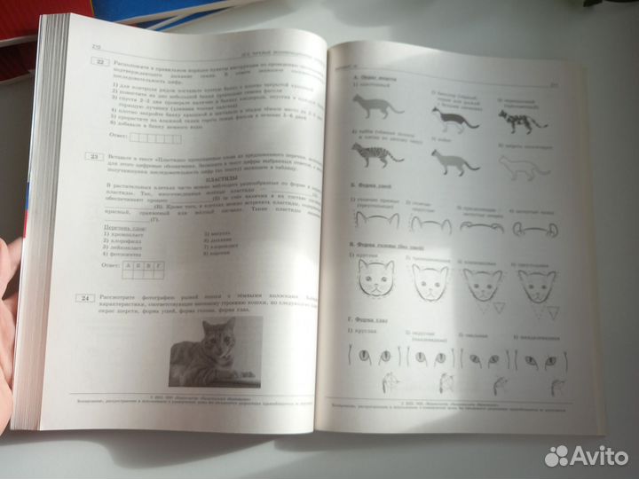 Пособие для подготовки к огэ