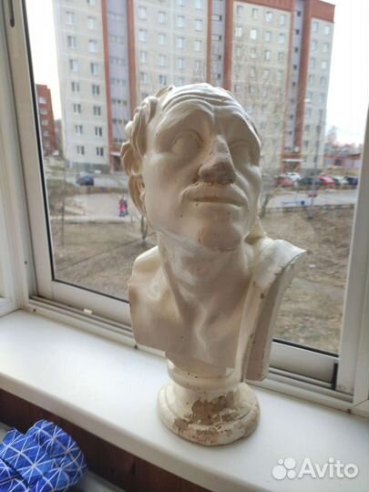 Бюст