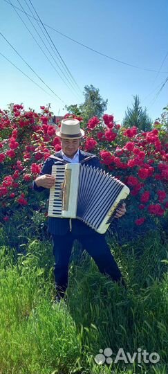 Аккордеонист баянист гармонист на праздники