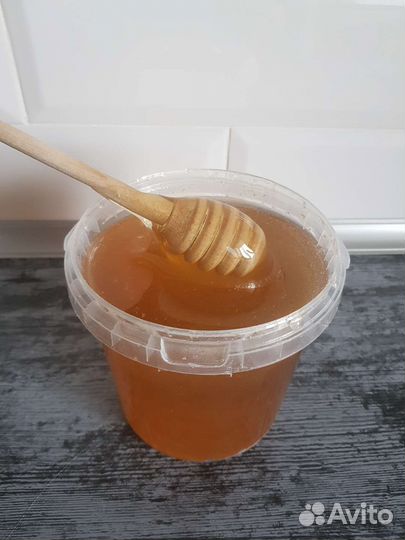 Мёд майский и цветочный дегустация