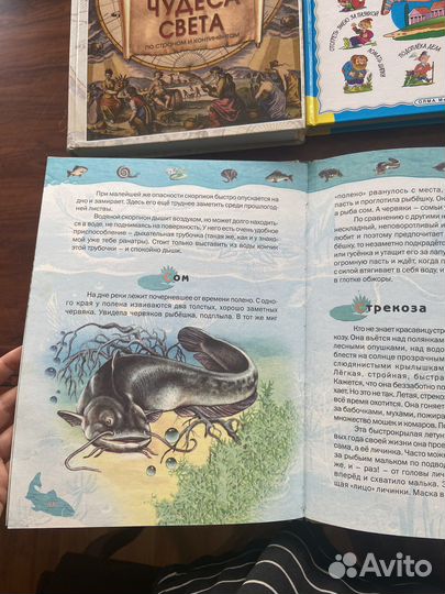 Детские и подростковые энциклопедии и книги