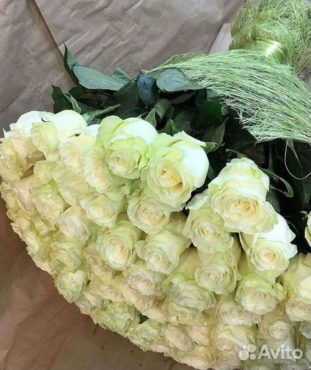 Высокие Высокие розы Гигантские розы Букеты Достав