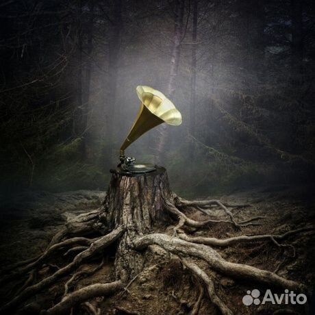 Аквариум - Тор (LP)