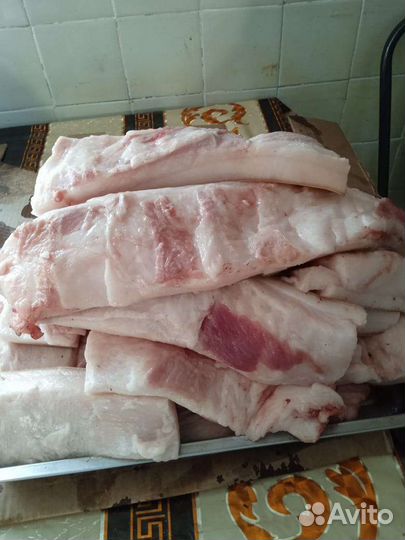 Сало свиное свежее