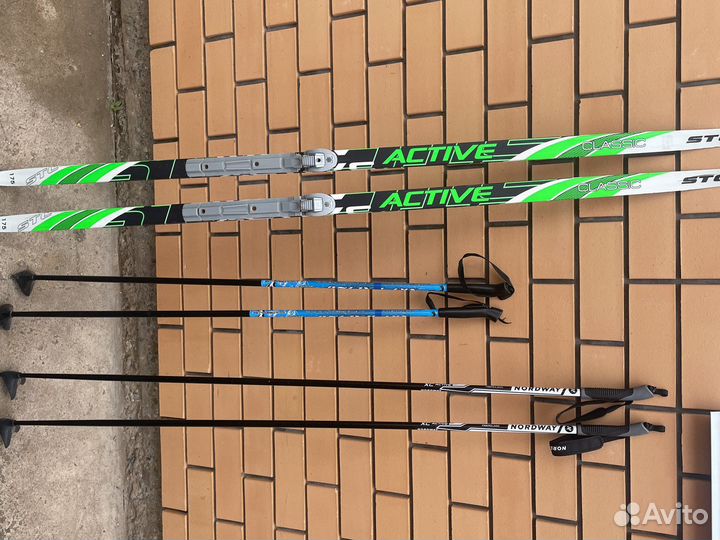 Горные лыжи