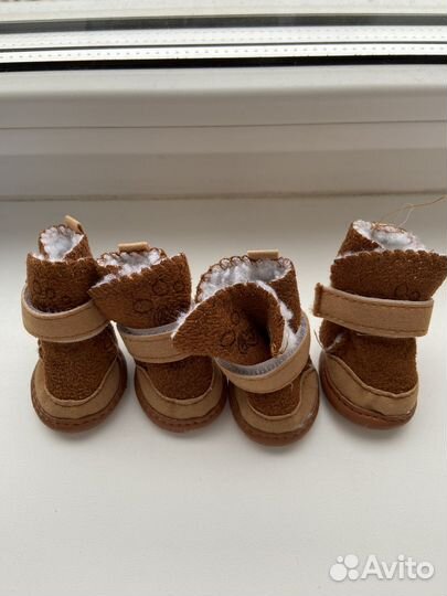 Одежда для маленьких собак