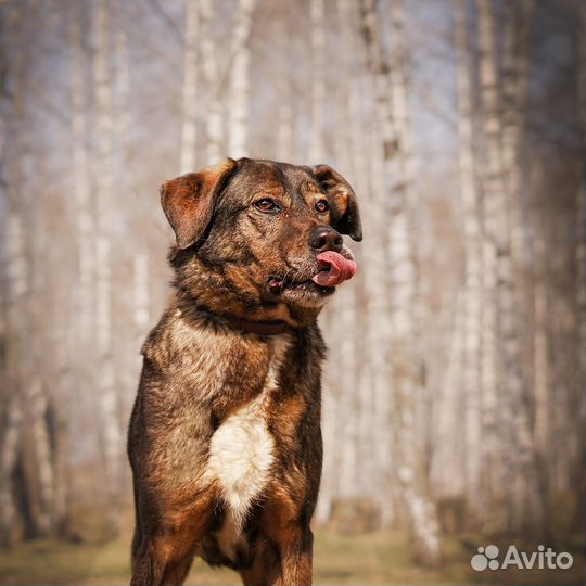 Отличный мальчик ждёт свою семью