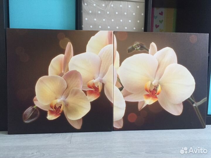Орхидея модульная картина, дизайн декор