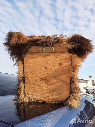 Чучело головы кабана