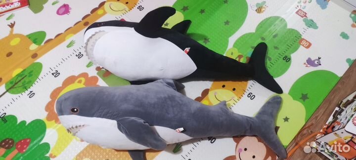 Акула и медведь