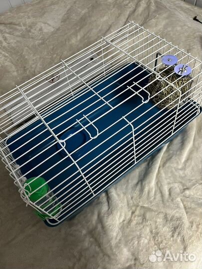 Клетка для грызунов ferplast