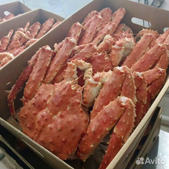 Краб камчатский