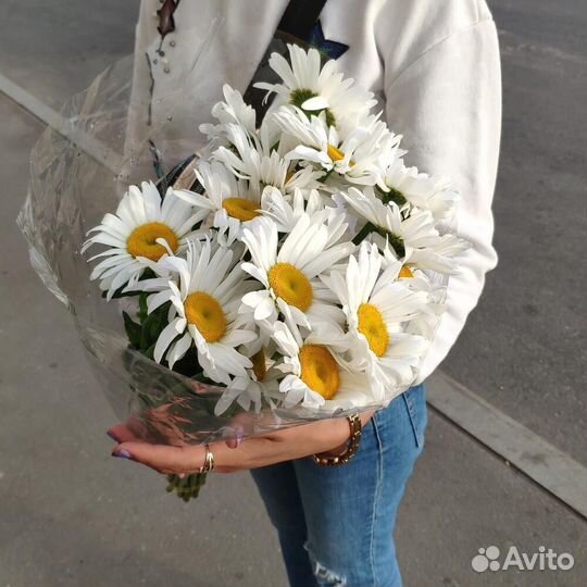 Ромашки оптом