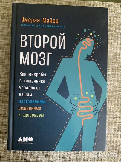 Второй мозг