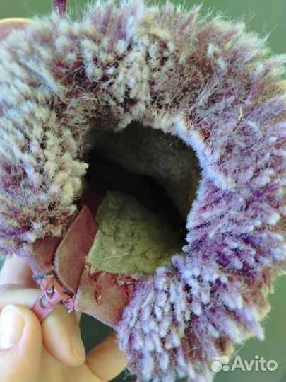 Ботинки зимние для девочки