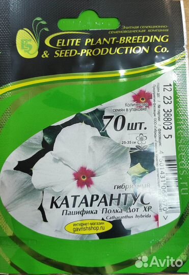Семена катарантус