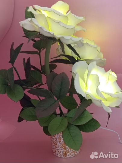 Ночник куст роз