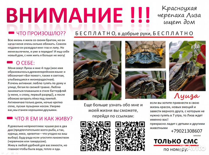 Красноухая черепашка Лиза в беде