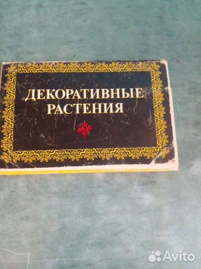 Декоративные растения СССР