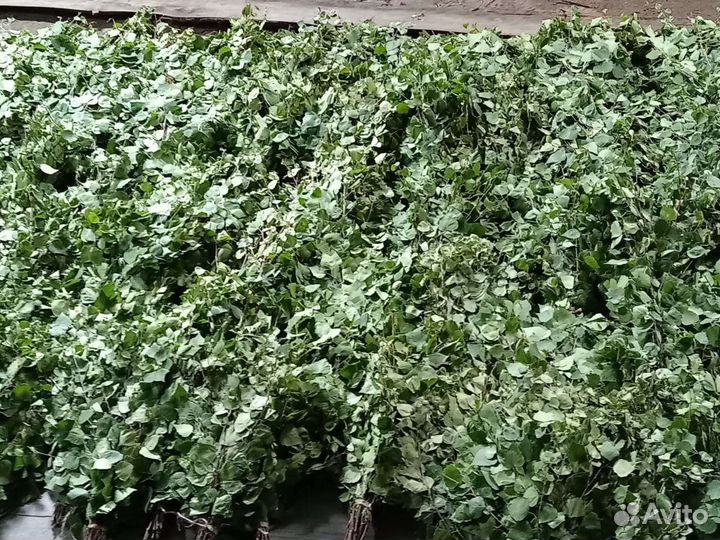 Веники для бани (берёза)