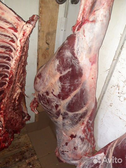 Мясо Говядины