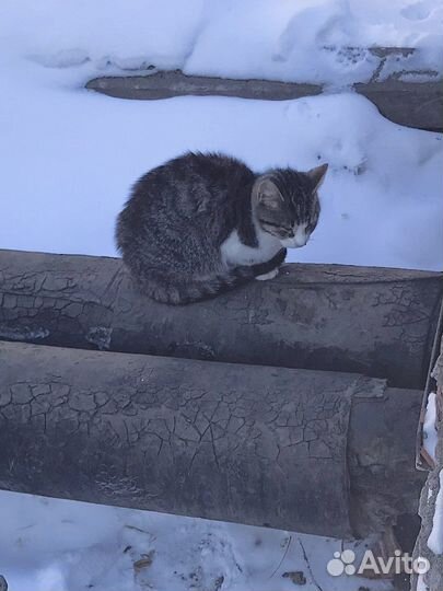 Малышка слепнет