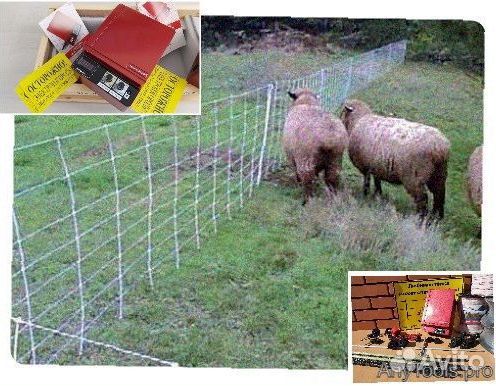 Электропастух