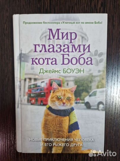 Книга мир глазами кота Боба