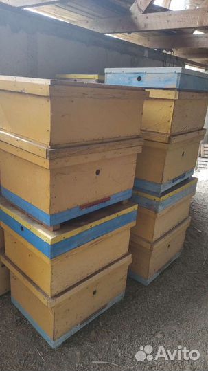 Улей для пчел