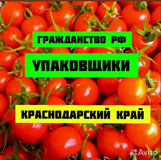 Упаковщик проживание/питание Краснодарский край