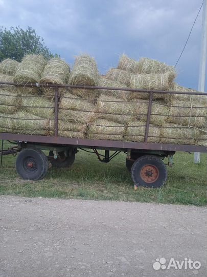 Сено в тюках