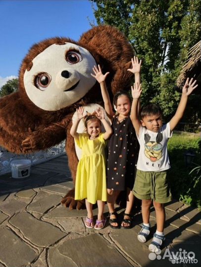 Белый Мишка Медведь и Чебурашка Поздравление