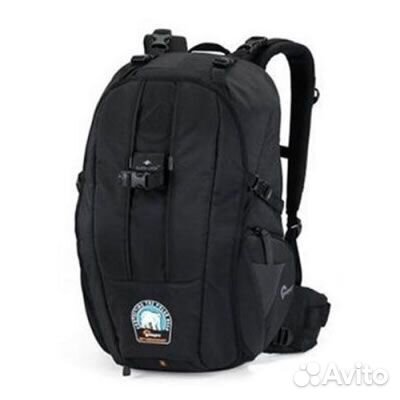 Новый фоторюкзак Lowepro с медведем