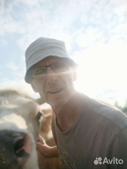 Молоко коровье -домашнее