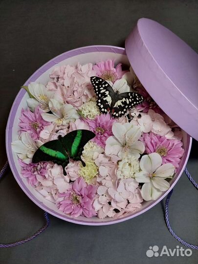 Букет с живыми бабочками