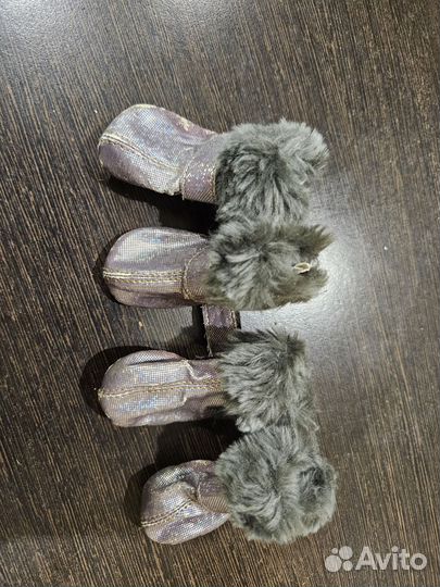 Зимний костюм для чихуа или тоя